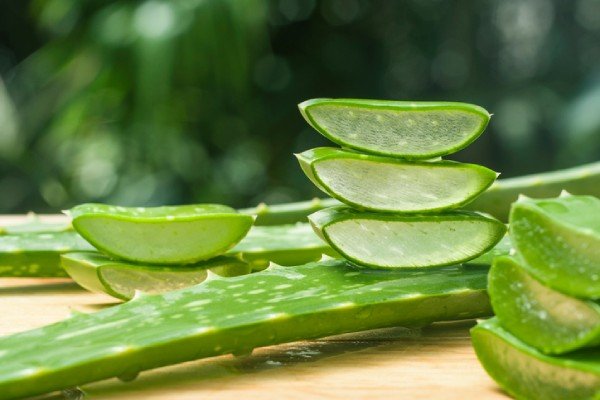 Aloe vera benefits for glowing skin
